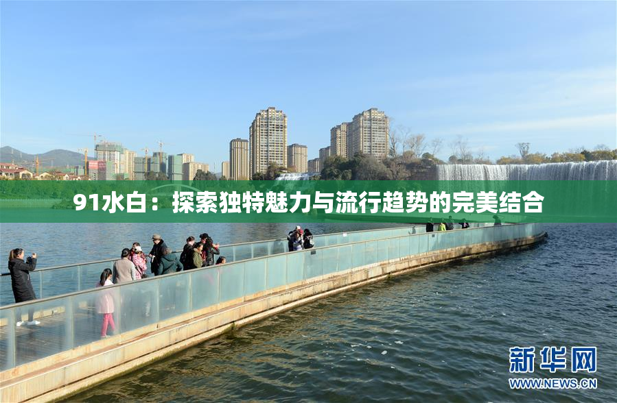 91水白：探索独特魅力与流行趋势的完美结合