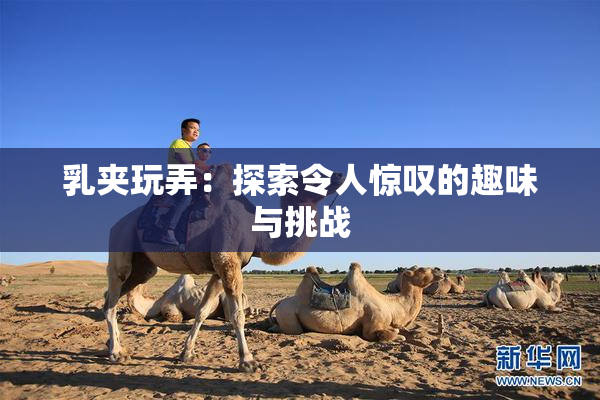 乳夹玩弄：探索令人惊叹的趣味与挑战