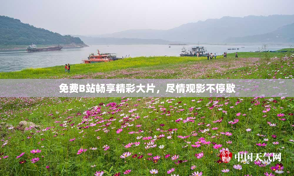 免费B站畅享精彩大片，尽情观影不停歇