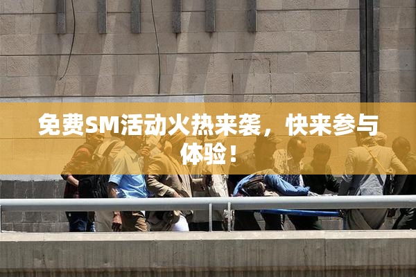 免费SM活动火热来袭，快来参与体验！