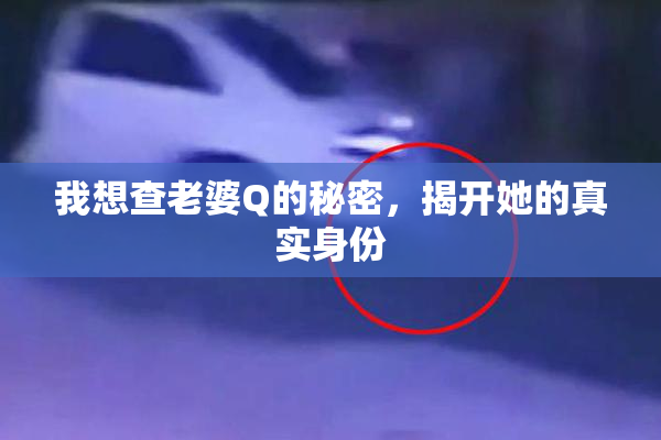 我想查老婆Q的秘密，揭开她的真实身份