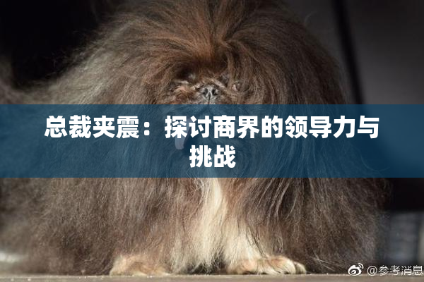总裁夹震：探讨商界的领导力与挑战