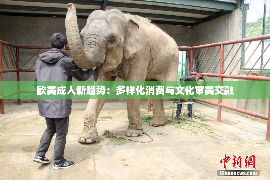 欧美成人新趋势：多样化消费与文化审美交融