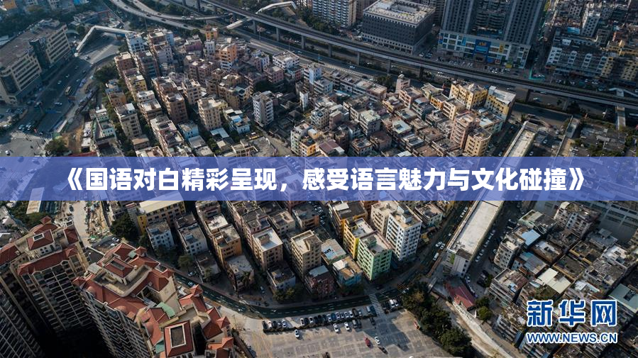 《国语对白精彩呈现，感受语言魅力与文化碰撞》
