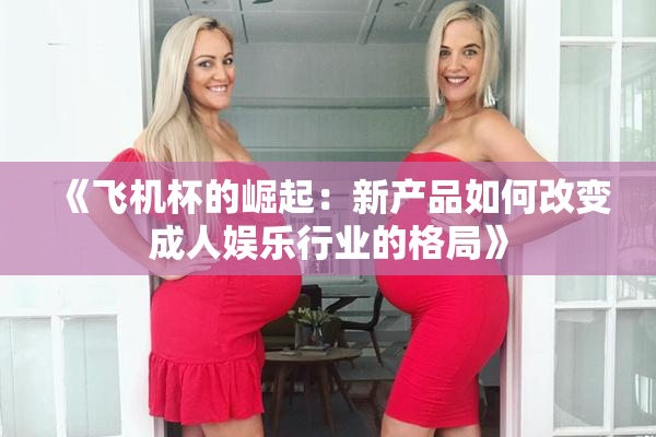 《飞机杯的崛起：新产品如何改变成人娱乐行业的格局》