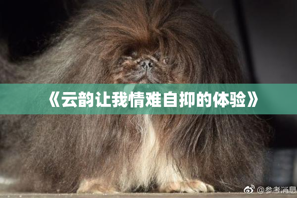 《云韵让我情难自抑的体验》