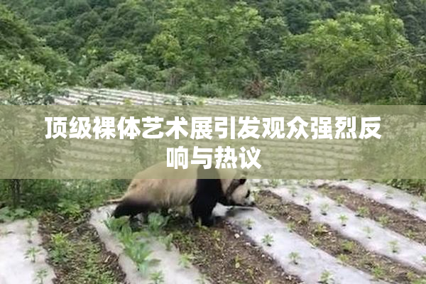 顶级裸体艺术展引发观众强烈反响与热议