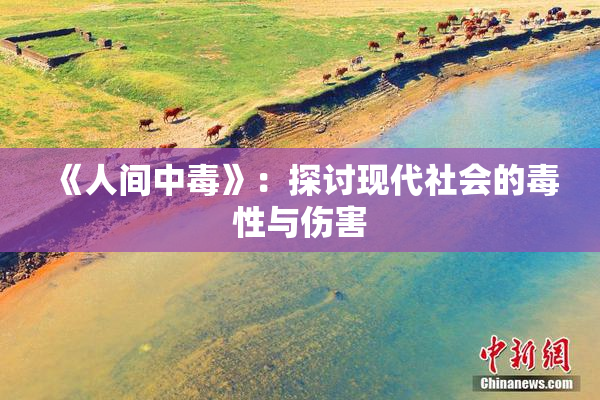 《人间中毒》：探讨现代社会的毒性与伤害
