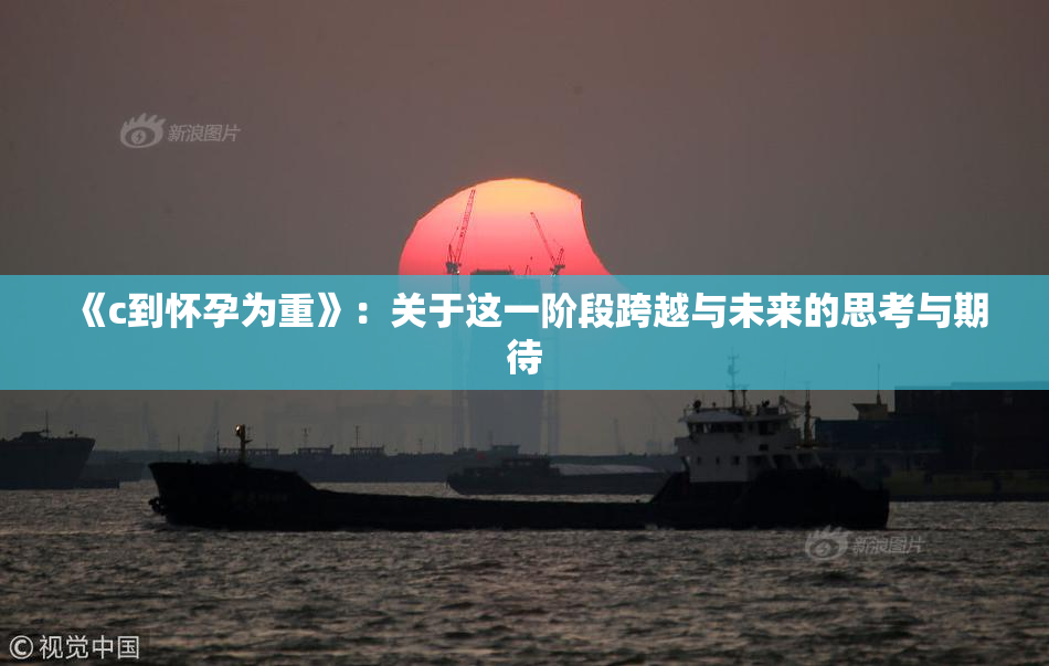 《c到怀孕为重》：关于这一阶段跨越与未来的思考与期待