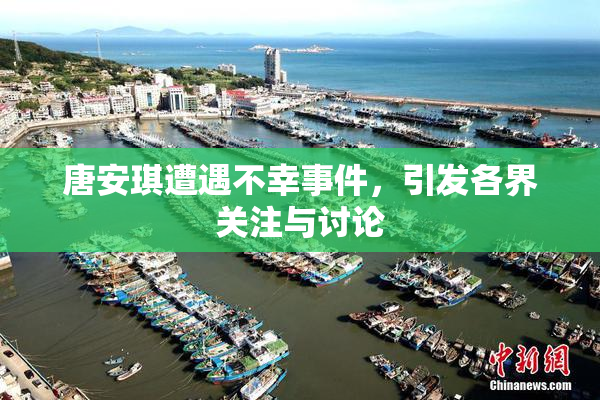 唐安琪遭遇不幸事件，引发各界关注与讨论
