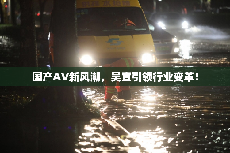 国产AV新风潮，吴宣引领行业变革！