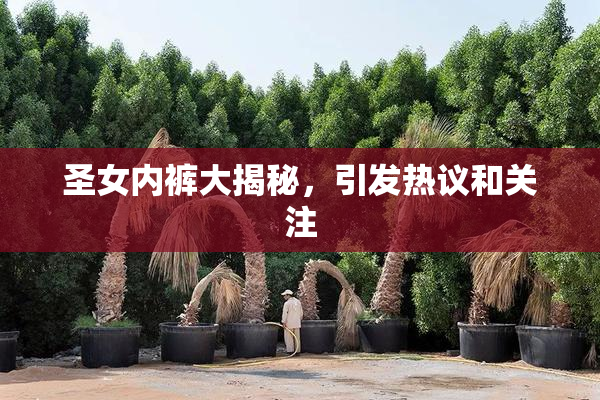 圣女内裤大揭秘，引发热议和关注