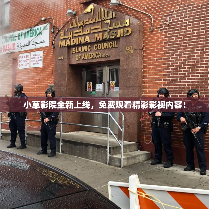 小草影院全新上线，免费观看精彩影视内容！