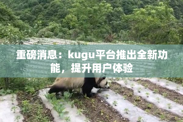 重磅消息：kugu平台推出全新功能，提升用户体验
