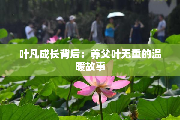叶凡成长背后：养父叶无重的温暖故事