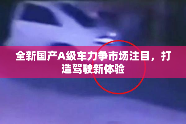 全新国产A级车力争市场注目，打造驾驶新体验