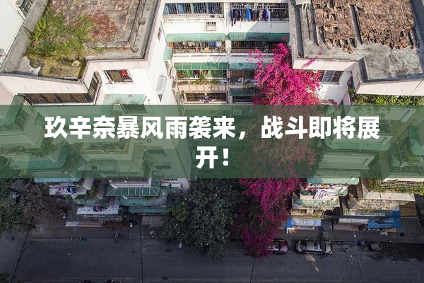 玖辛奈暴风雨袭来，战斗即将展开！