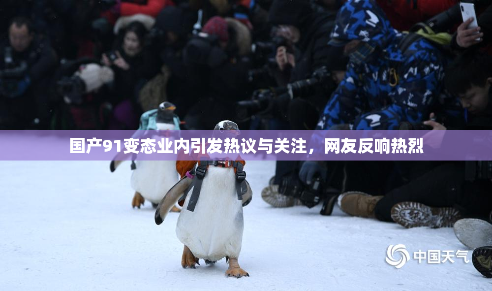 国产91变态业内引发热议与关注，网友反响热烈