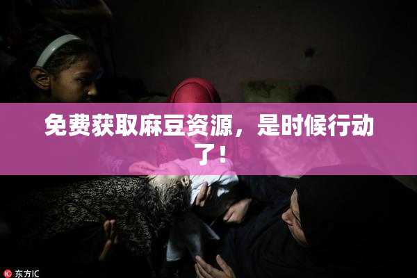 免费获取麻豆资源，是时候行动了！