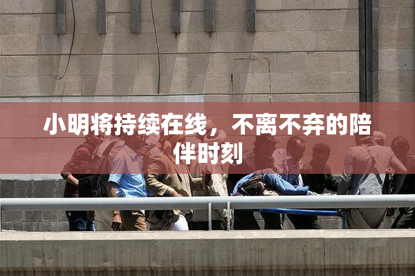 小明将持续在线，不离不弃的陪伴时刻