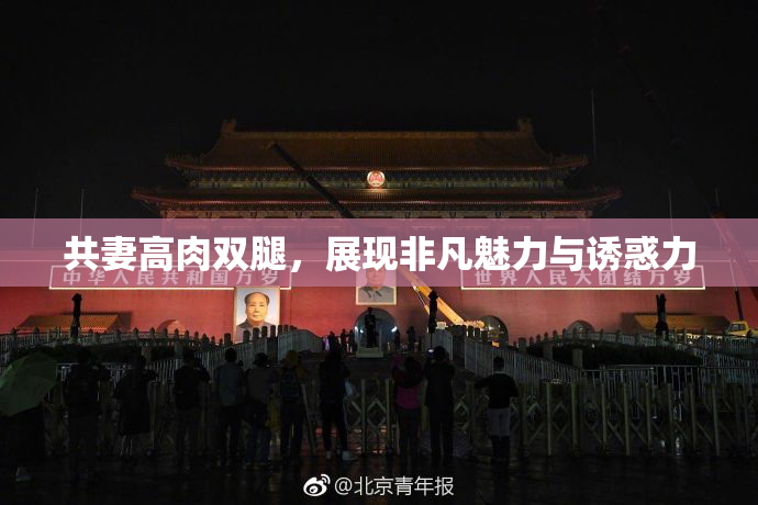 共妻高肉双腿，展现非凡魅力与诱惑力
