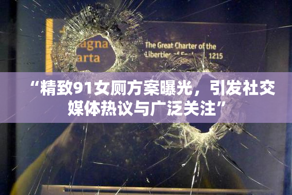 “精致91女厕方案曝光，引发社交媒体热议与广泛关注”