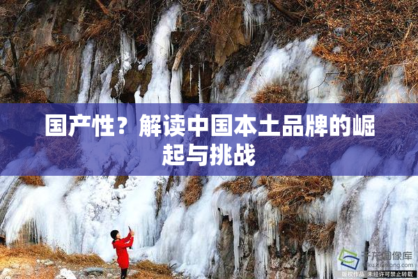 国产性？解读中国本土品牌的崛起与挑战