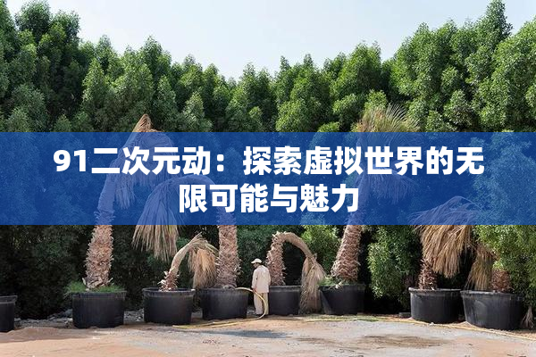 91二次元动：探索虚拟世界的无限可能与魅力