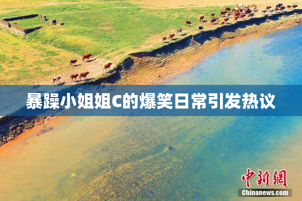 暴躁小姐姐C的爆笑日常引发热议