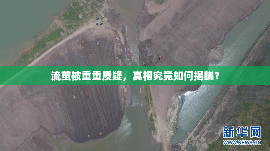 流萤被重重质疑，真相究竟如何揭晓？