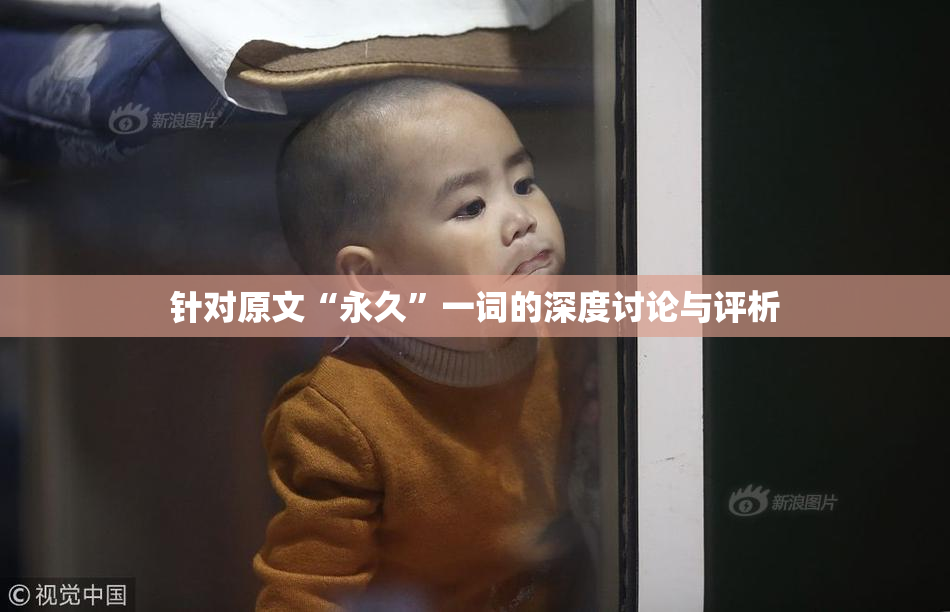 针对原文“永久”一词的深度讨论与评析