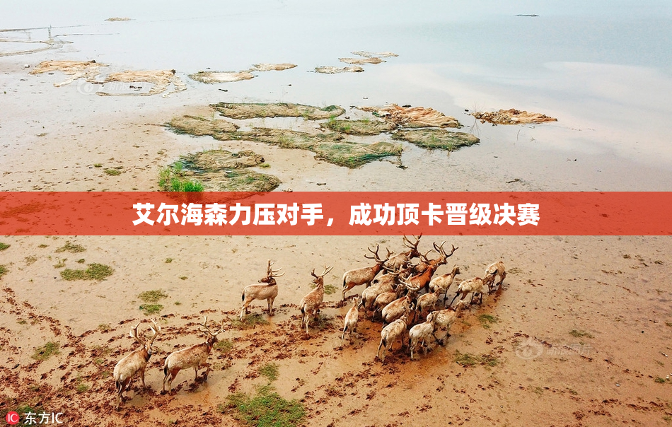 艾尔海森力压对手，成功顶卡晋级决赛