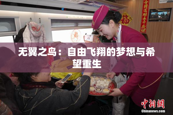 无翼之鸟：自由飞翔的梦想与希望重生
