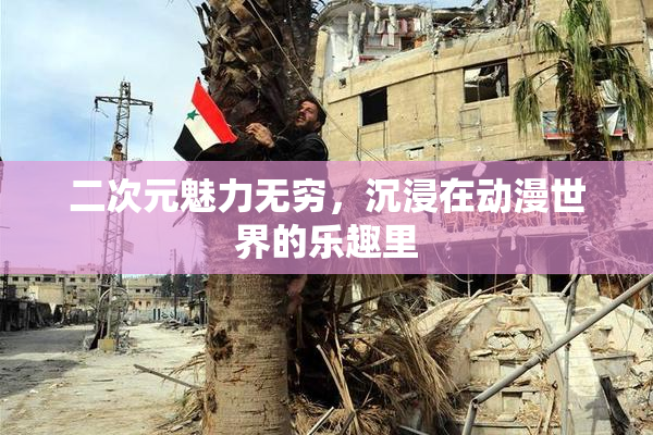 二次元魅力无穷，沉浸在动漫世界的乐趣里