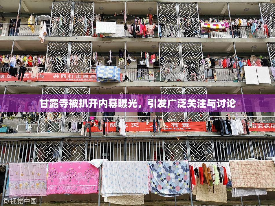 甘露寺被扒开内幕曝光，引发广泛关注与讨论