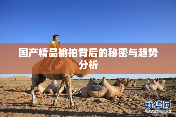 国产精品揄拍背后的秘密与趋势分析