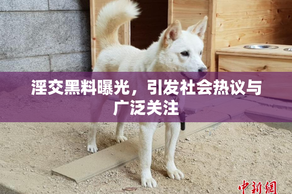 淫交黑料曝光，引发社会热议与广泛关注