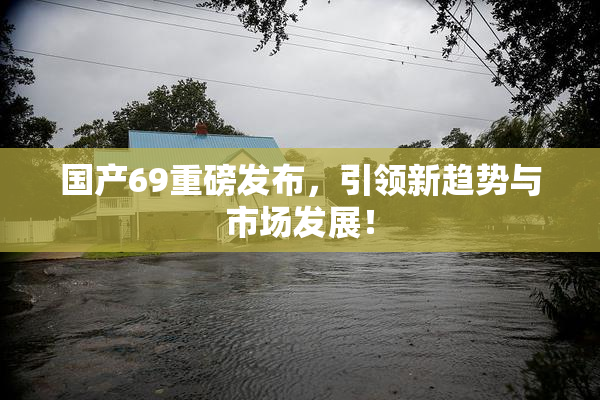 国产69重磅发布，引领新趋势与市场发展！