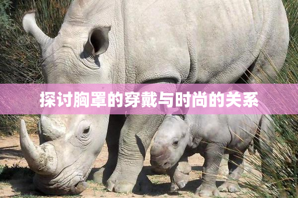 探讨胸罩的穿戴与时尚的关系