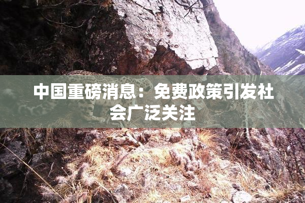 中国重磅消息：免费政策引发社会广泛关注