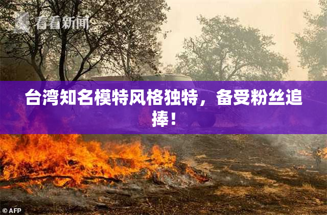 台湾知名模特风格独特，备受粉丝追捧！