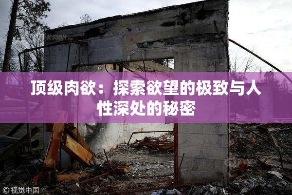 顶级肉欲：探索欲望的极致与人性深处的秘密