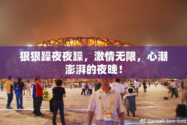 狠狠躁夜夜躁，激情无限，心潮澎湃的夜晚！
