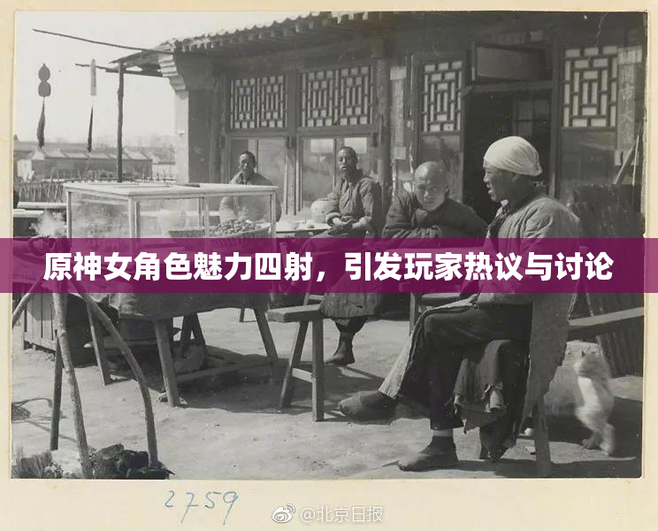 原神女角色魅力四射，引发玩家热议与讨论