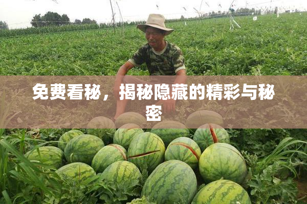 免费看秘，揭秘隐藏的精彩与秘密