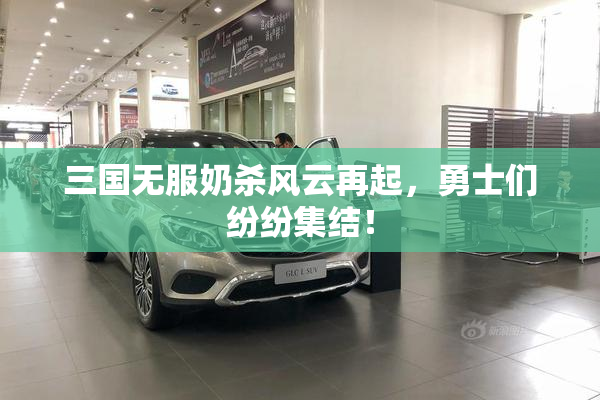 三国无服奶杀风云再起，勇士们纷纷集结！