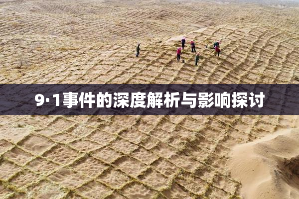 9·1事件的深度解析与影响探讨