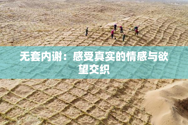 无套内谢：感受真实的情感与欲望交织