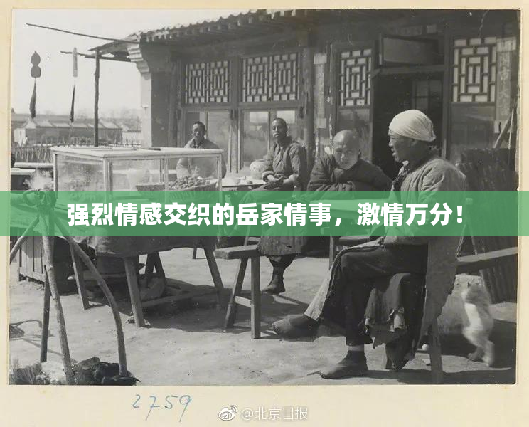 强烈情感交织的岳家情事，激情万分！