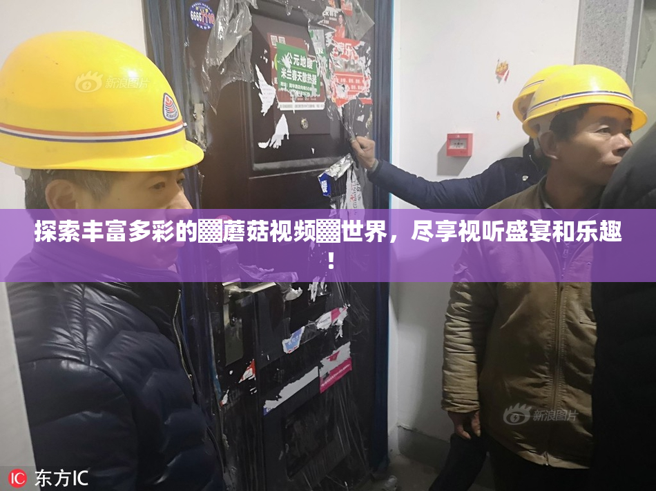 探索丰富多彩的▓蘑菇视频▓世界，尽享视听盛宴和乐趣！
